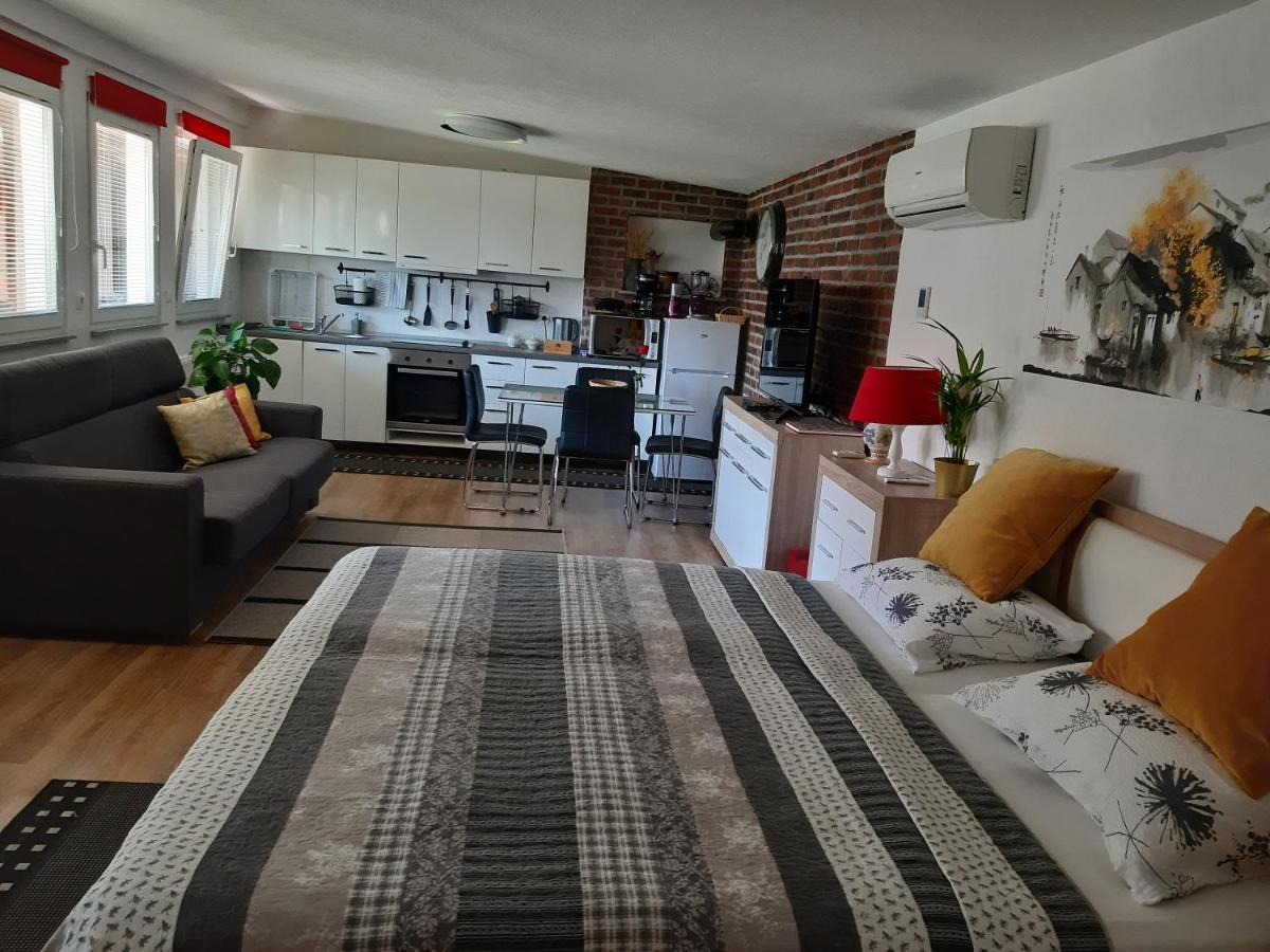 Apartments Isabella Ptuj Bagian luar foto